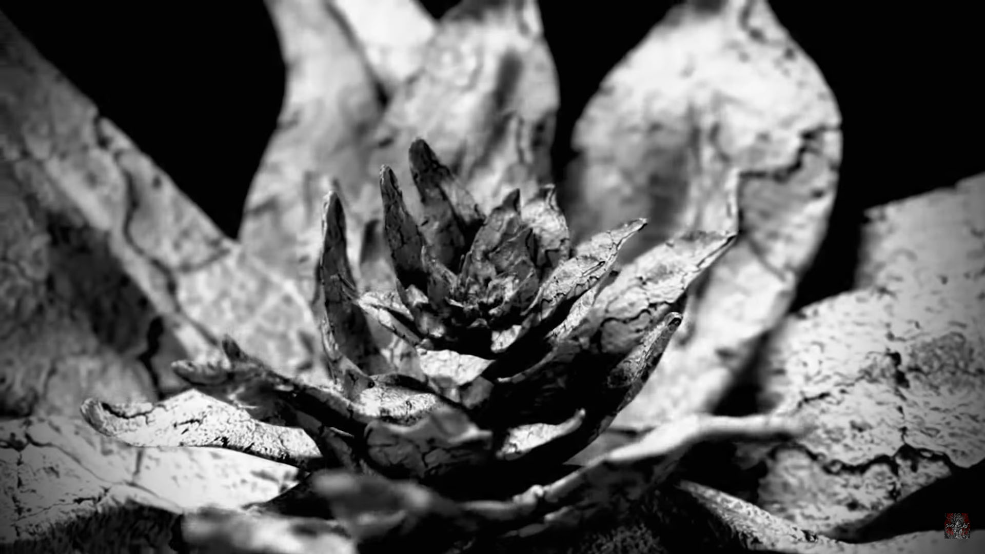 Artwork 1